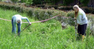 Community Cleanup 2016 Planting3